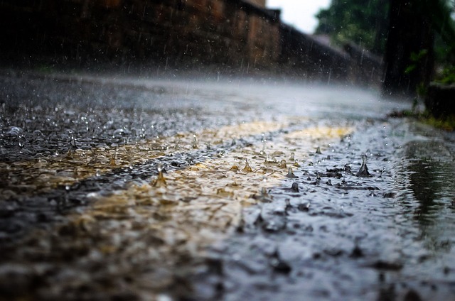 雨 雨滴 季节 - 上的免费照片