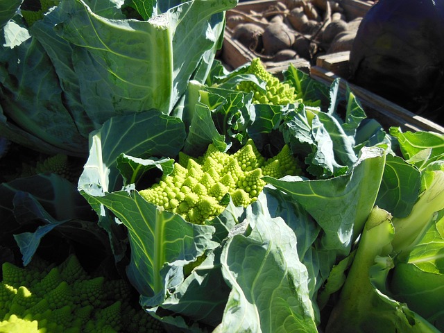 绿色花椰菜 Romanesco 卷心菜 - 上的免费照片