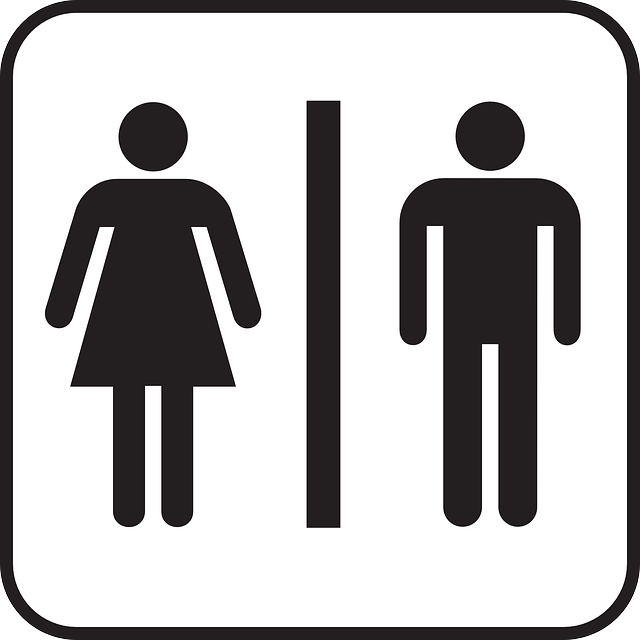 卫生间 公共厕所 其余的房间 - 免费矢量图形