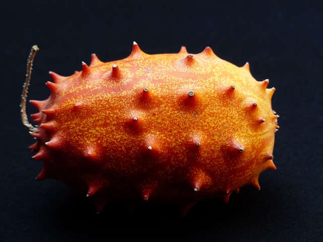 Kiwano 水果 角黄瓜 - 上的免费照片