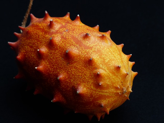 Kiwano 水果 角黄瓜 - 上的免费照片