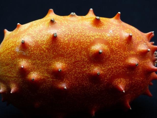 Kiwano 水果 角黄瓜 - 上的免费照片