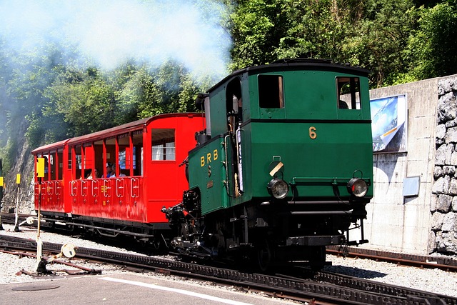 布里恩茨 Rothornbahn 蒸汽机车 山 - 上的免费照片