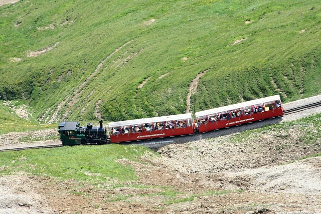 布里恩茨 Rothornbahn 红色喇叭 蒸汽机车 - 上的免费照片