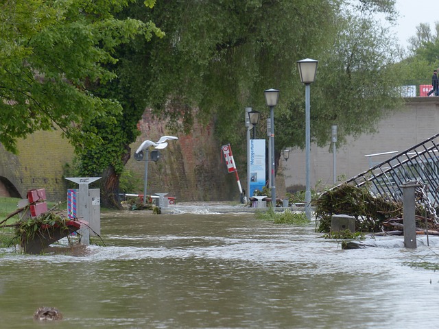 洪水 多瑙河 乌尔姆 - 上的免费照片