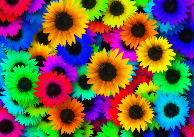 向日葵 多彩多姿的 有色 - 上的免费图片