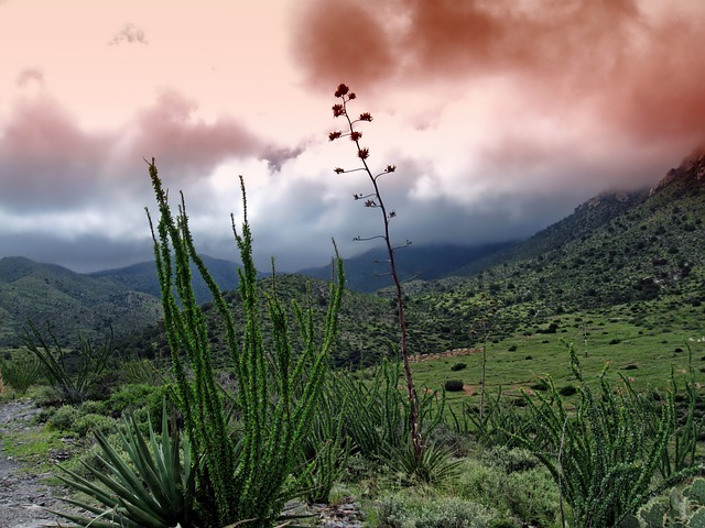 亚利桑那 景观 风景秀丽的 - 上的免费照片