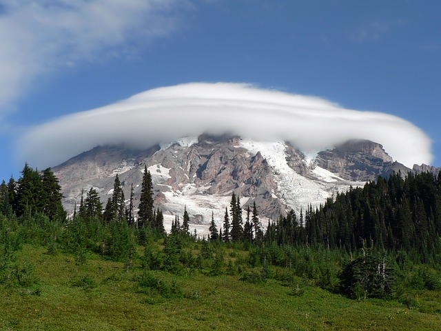 雷尼尔山 华盛顿 景观 - 上的免费照片