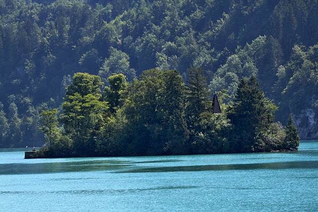 瑞士 布里恩茨 湖的 Brienz - 上的免费照片