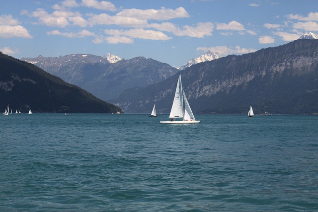瑞士 湖的 Brienz 山 - 上的免费照片
