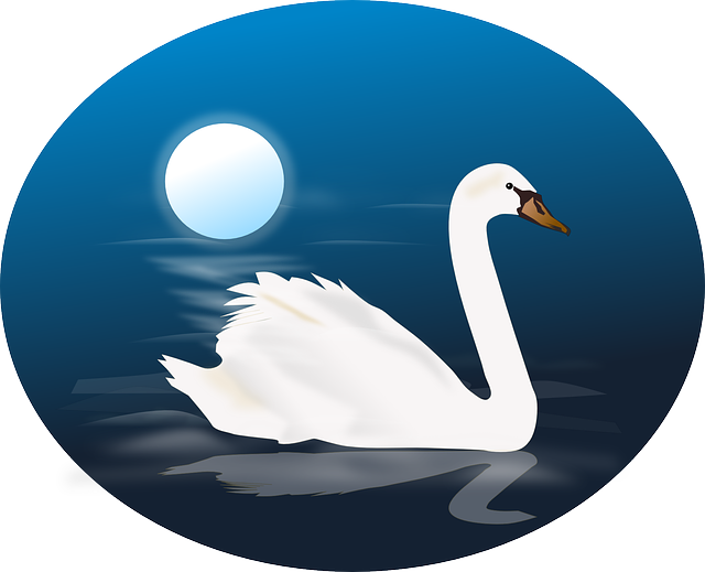 天鹅座 天鹅 动物 - 免费矢量图形