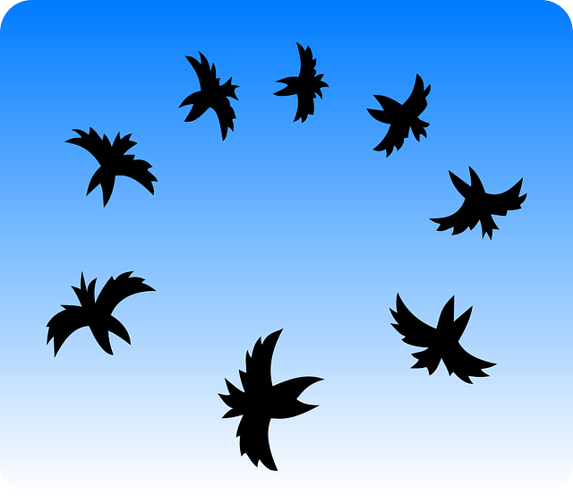 群 乌鸦 鸟类 - 免费矢量图形