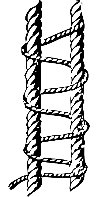 结 抓住 拴住 - 免费矢量图形