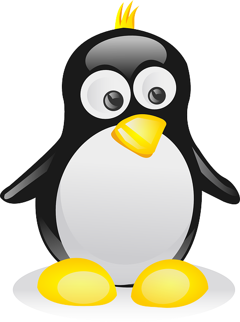 企鹅 鸟 动物 - 免费矢量图形