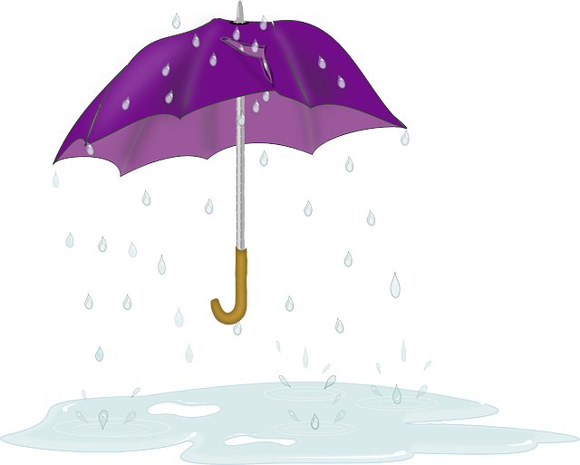 水坑 雨伞 滴 - 免费矢量图形