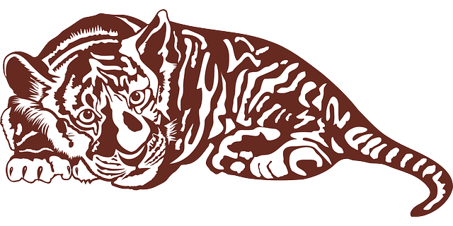 老虎 野猫 苏门答腊虎 - 免费矢量图形