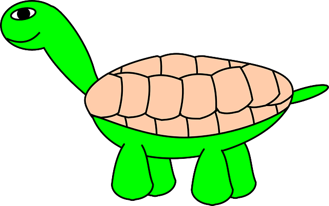 乌龟 龟 玳瑁 - 免费矢量图形