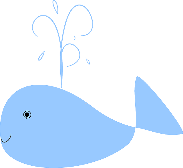 鲸 蓝色的 水喷泉 - 免费矢量图形