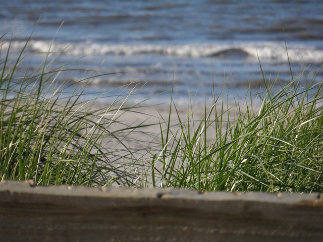 Ameland 海滩 北海 - 上的免费照片