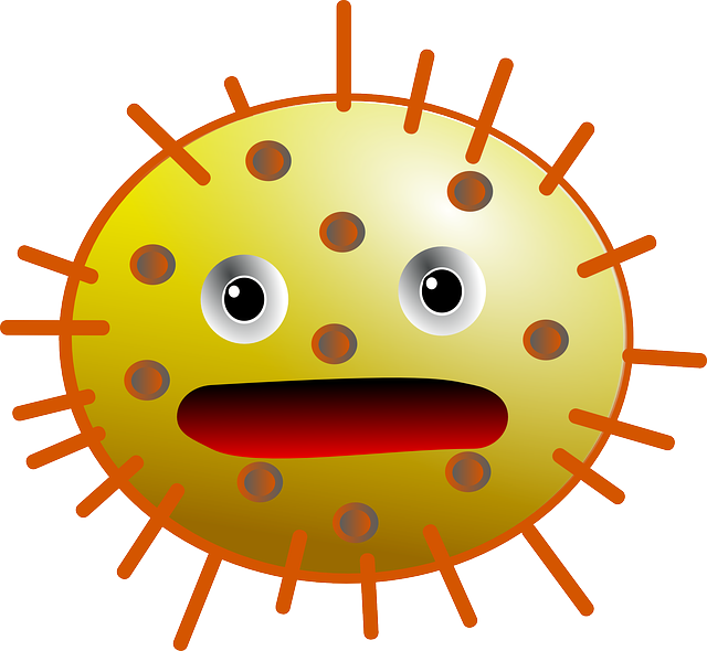 细菌 球菌 病毒 - 免费矢量图形