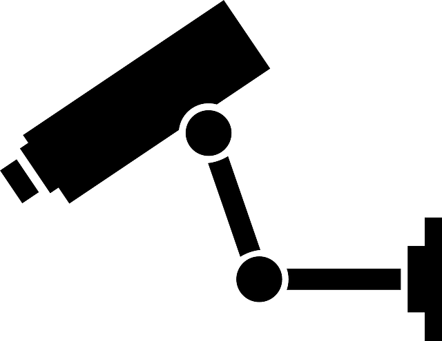 相机 中央电视台 安全 - 免费矢量图形