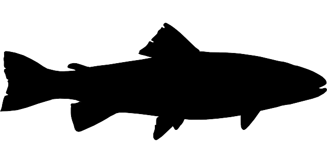 鱼 黑色的 钓鱼 - 免费矢量图形