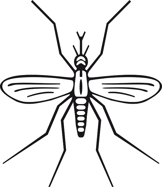 昆虫 疟疾 蚊子 - 免费矢量图形