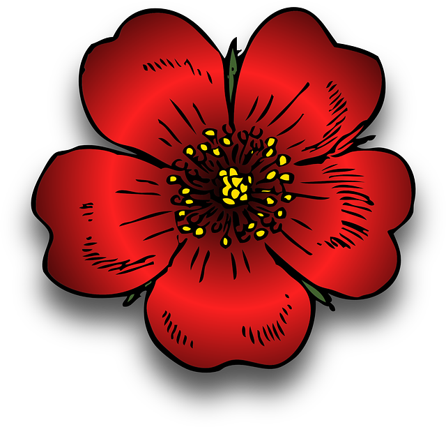 植物 红色的 罗莎 - 免费矢量图形