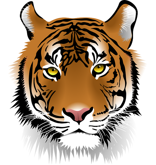 老虎 苏门答腊虎 野生动物 - 免费矢量图形