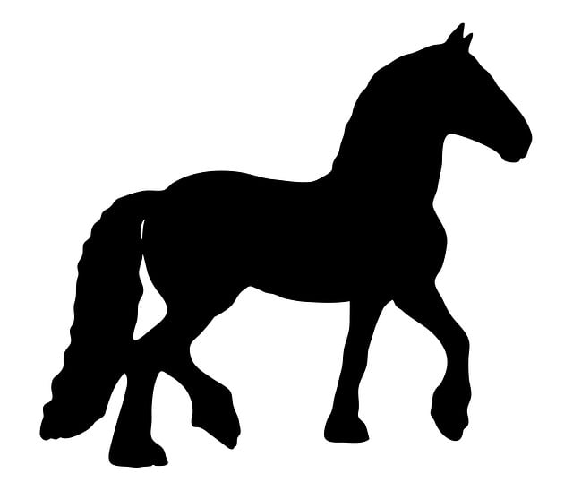 马 动物 黑色的 - 上的免费图片