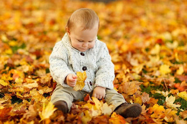 秋天 落下 男婴 - 上的免费照片