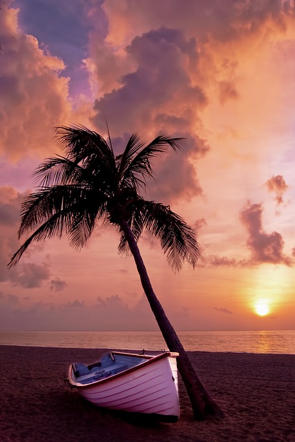 船 海岸 棕榈树 - 上的免费照片