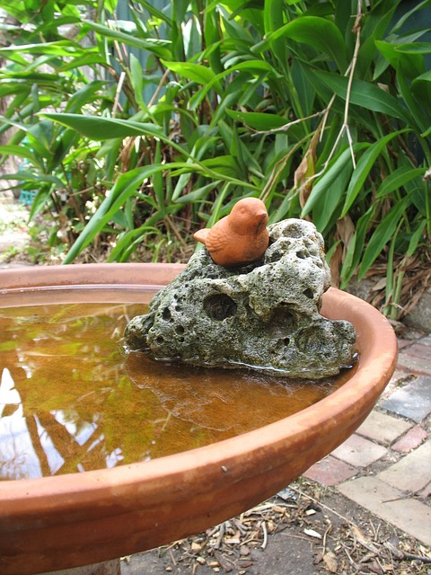 花园 装饰 水钵 - 上的免费照片