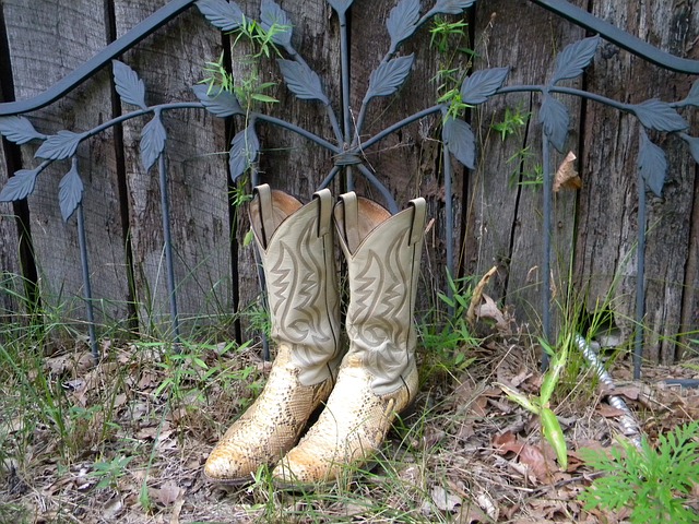 牛仔靴 靴子 花园 - 上的免费照片