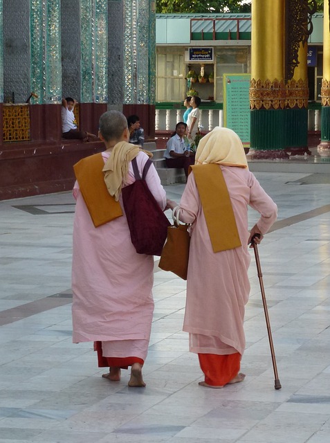 缅甸 修女 佛教徒 - 上的免费照片