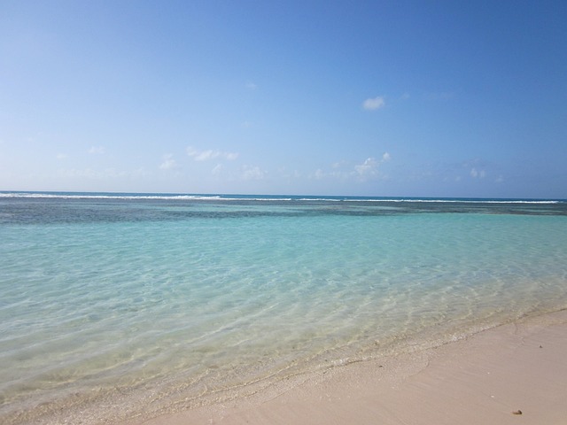瓜德罗普岛 加勒比海 小安 - 上的免费照片