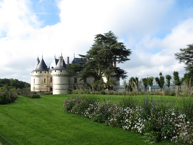 Domaine De 肖蒙 卢瓦尔河 在法国城堡 - 上的免费照片