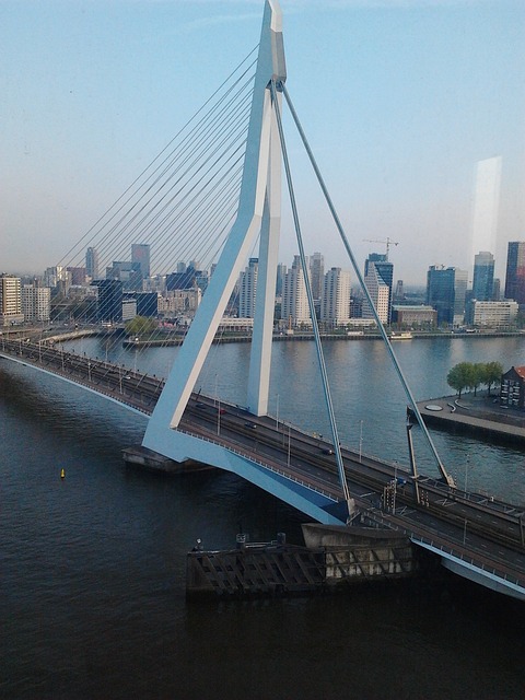 伊拉斯莫斯桥 斜拉桥 鹿特丹最美丽的桥梁 - 上的免费照片