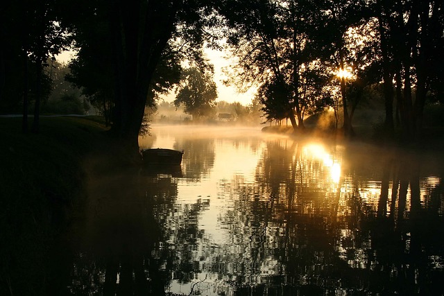 夏朗德 黎明 水 - 上的免费照片