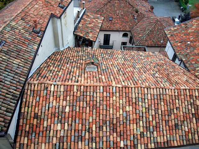 意大利 巴罗洛 屋顶 - 上的免费照片