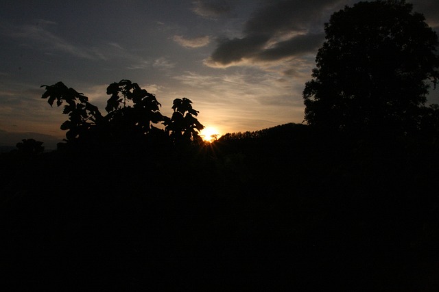日落 南部施蒂利亚州 葡萄园 - 上的免费照片
