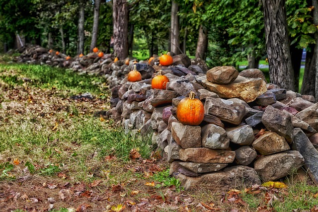 石围墙 康涅狄格 森林 - 上的免费照片