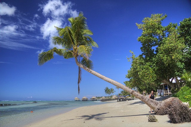 萨摩亚 热带 海滩 - 上的免费照片