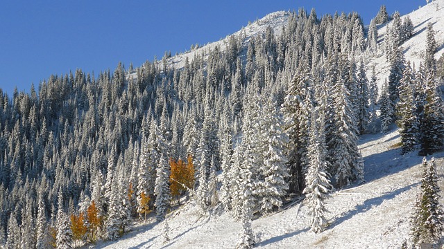 科罗拉多州 山的另一边 雪 - 上的免费照片