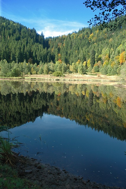 Sankenbachsee 湖 Waldsee - 上的免费照片