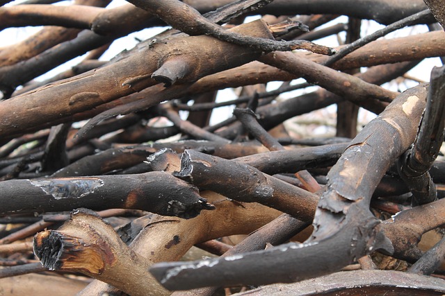 煤渣 木头 自然 - 上的免费照片