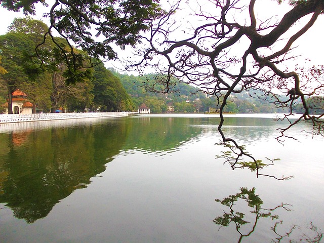 康提湖 湖 康提 - 上的免费照片