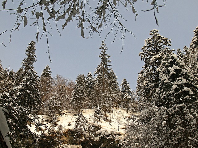 奥伯斯特多夫附近的 Breitachklamm 冬天 - 上的免费照片