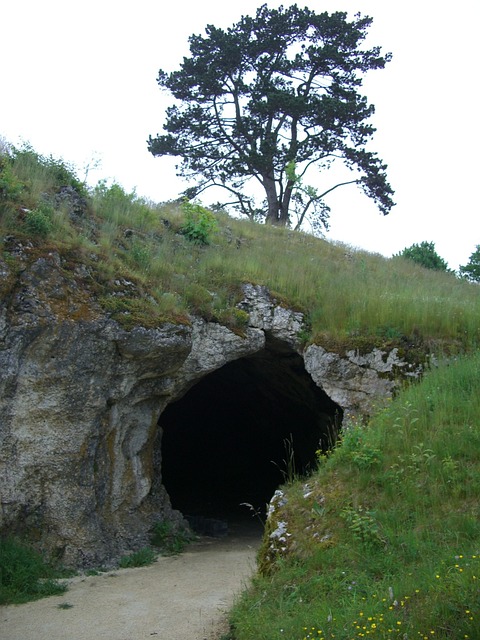 鸟灶洞 Lonetal 岩溶洞穴 - 上的免费照片
