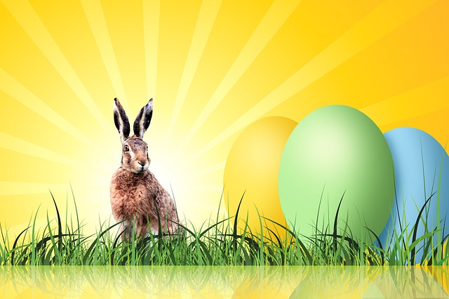 蛋 多彩多姿的 兔子 - 上的免费图片
